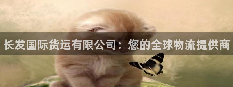 尊龙凯时泰安：长发国际货运有限公司：您的全球物流提供商