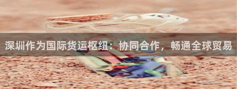 尊龙凯时福米推荐人：深圳作为国际货运枢纽：协同合作，畅通