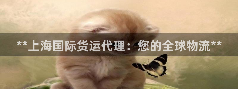 d88尊龙官方网：**上海国际货运代理：您的全球物流**