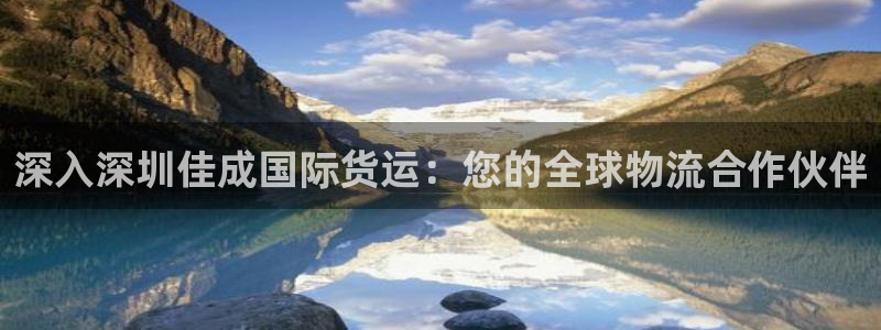 尊龙集团有限公司：深入深圳佳成国际货运：您的全球物流合作