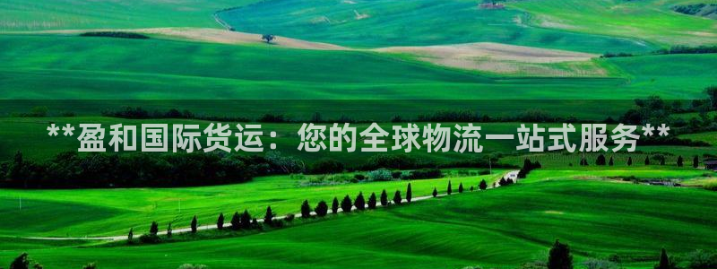 尊龙凯时游戏厅：**盈和国际货运：您的全球物流一站式服务