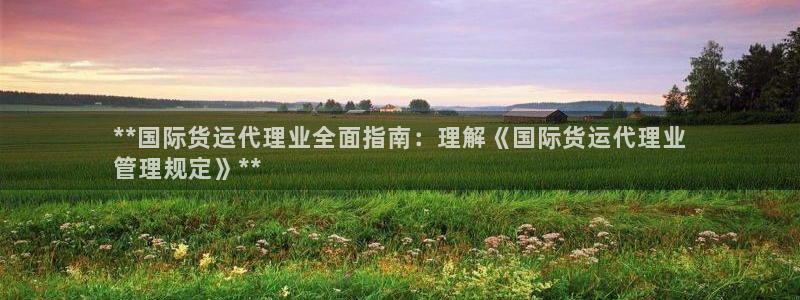 尊龙凯时ag旗舰：**国际货运代理业全面指南：理解《国际