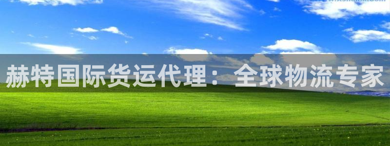 尊龙凯时福米推荐人：赫特国际货运代理：全球物流专家