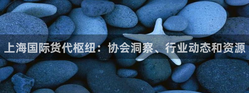 尊龙集团有限公司招聘：上海国际货代枢纽：协会洞察、行业动