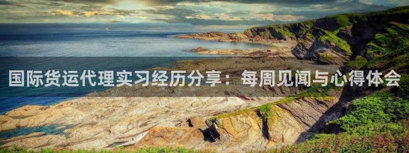 尊龙凯时贴吧：国际货运代理实习经历分享：每周见闻与心得体