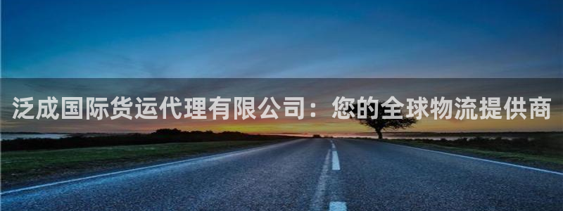 尊龙软件下载：泛成国际货运代理有限公司：您的全球物流提供