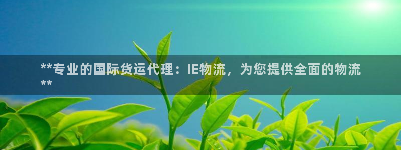 尊龙官网手机版：**专业的国际货运代理：IE物流，为您提