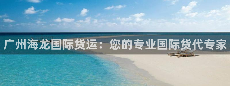 尊龙专访视频：广州海龙国际货运：您的专业国际货代专家