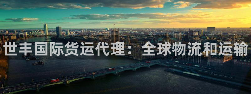 尊龙凯时 人生就是搏客服：世丰国际货运代理：全球物流和运