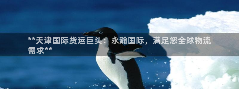 尊龙人生就是博l：**天津国际货运巨头：永瀚国际，满足您