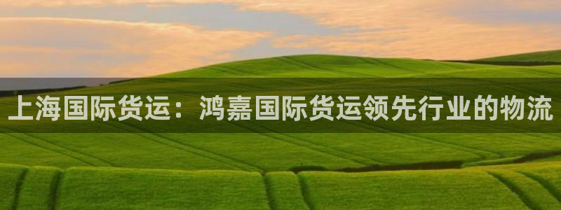 尊龙凯时注册入口：上海国际货运：鸿嘉国际货运领先行业的物