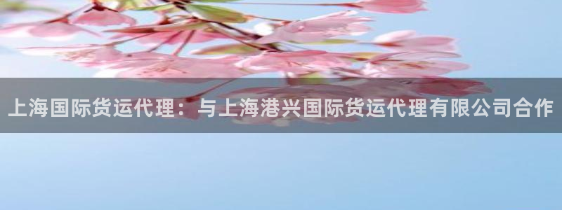 尊龙凯时平台有没有不到账的：上海国际货运代理：与上海港兴