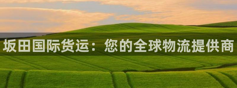 尊龙一人生就是搏：坂田国际货运：您的全球物流提供商