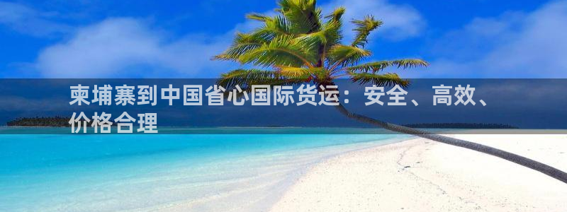尊龙凯时人生就博官网：柬埔寨到中国省心国际货运：安全、高