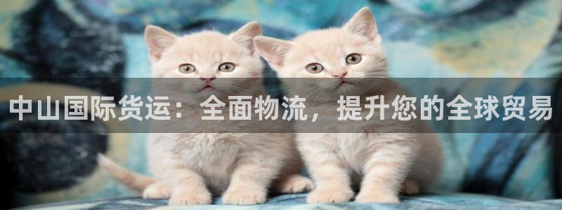 尊龙凯时家居是品牌吗：中山国际货运：全面物流，提升您的全