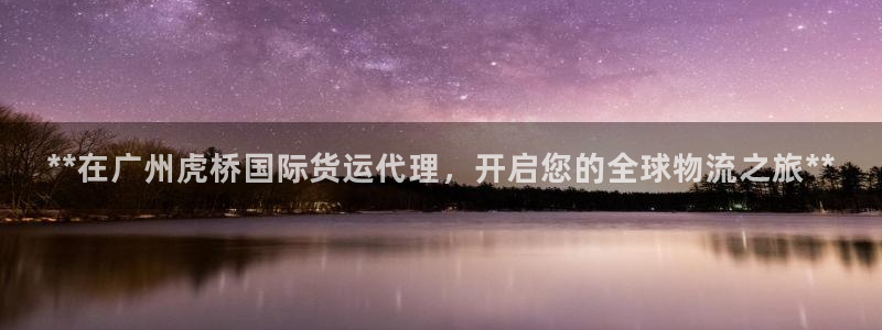 尊龙ag旗舰厅官网官方入口：**在广州虎桥国际货运代理，