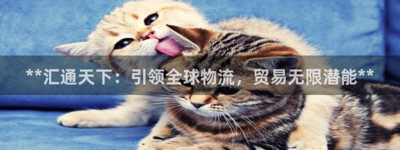 尊龙棋牌旗舰店：**汇通天下：引领全球物流，贸易无限潜能