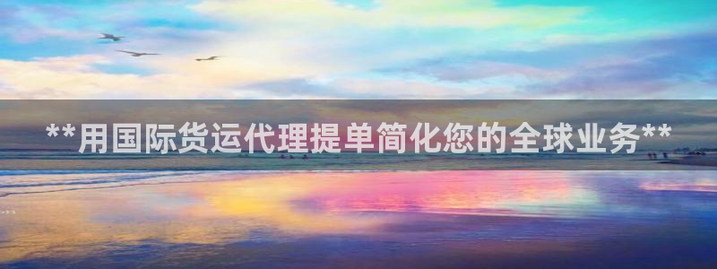 尊龙人生就是搏：**用国际货运代理提单简化您的全球业务*