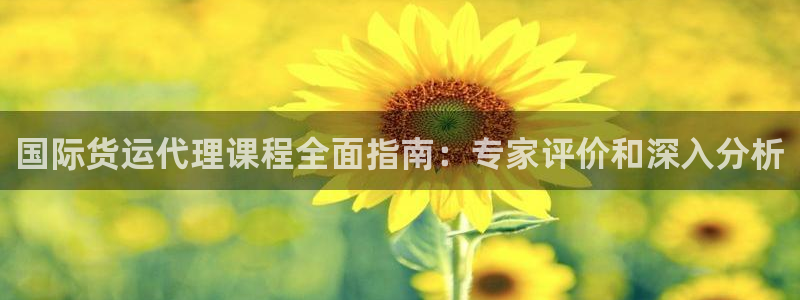 尊龙1003尊龙 - 百度：国际货运代理课程全面指南：专