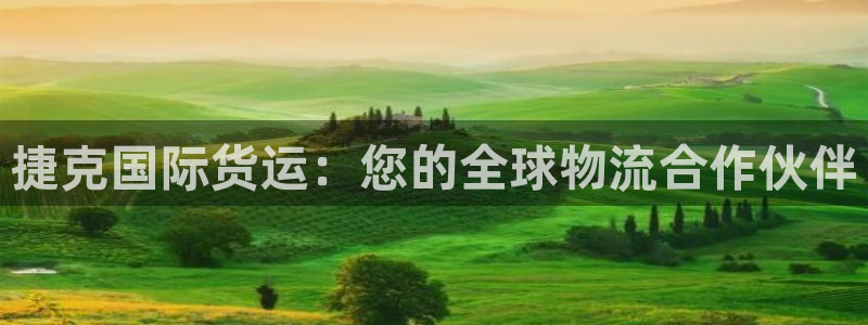尊龙凯时登陆入口：捷克国际货运：您的全球物流合作伙伴