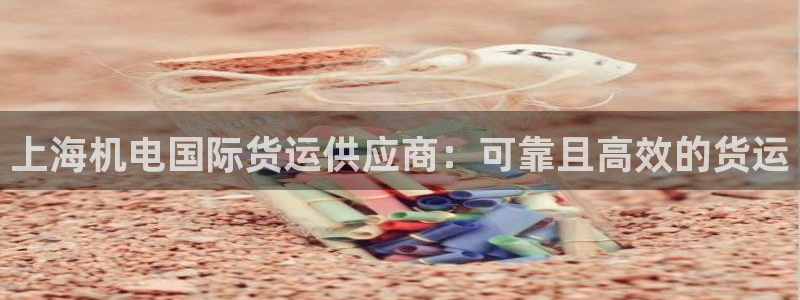 尊龙凯时网页版：上海机电国际货运供应商：可靠且高效的货运
