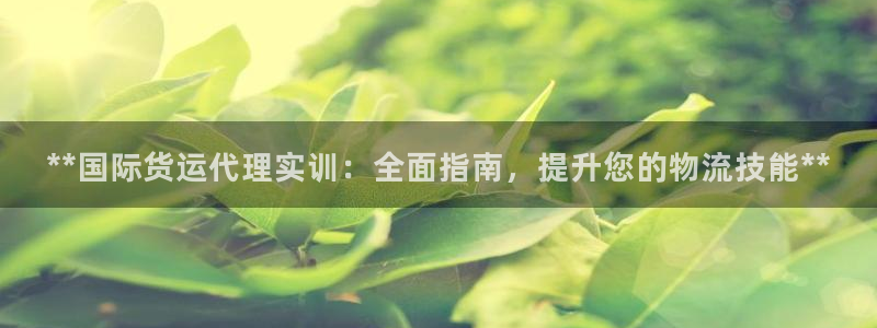 尊龙凯时发展历程：**国际货运代理实训：全面指南，提升您