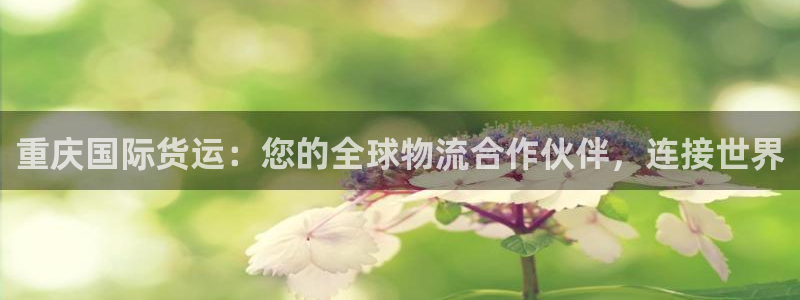 尊龙官网免费下载安卓：重庆国际货运：您的全球物流合作伙伴