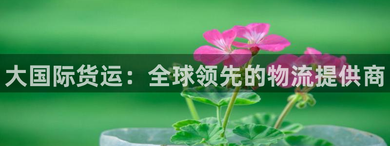 尊龙人生就是搏：大国际货运：全球领先的物流提供商