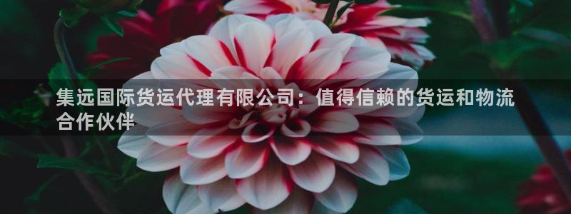 尊龙凯时人生就是博·(中国)官网首页：集远国际货运代理有