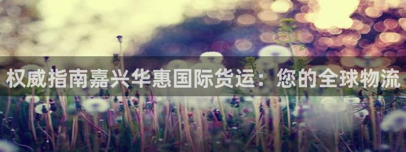 z6尊龙官方网站：权威指南嘉兴华惠国际货运：您的全球物流