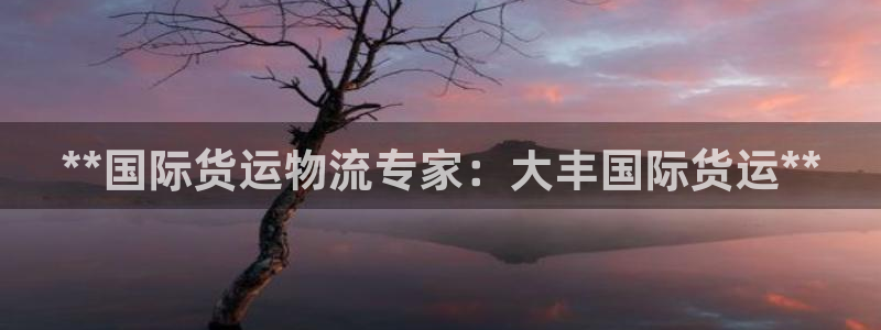 尊龙人生就是博ag旗舰厅：**国际货运物流专家：大丰国际