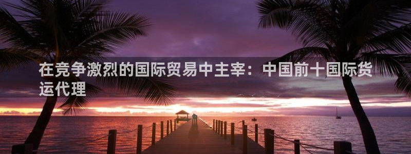 尊龙网平台：在竞争激烈的国际贸易中主宰：中国前十国际货
