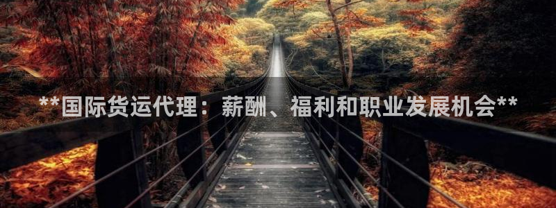 尊龙凯时最新平台登陆：**国际货运代理：薪酬、福利和职业