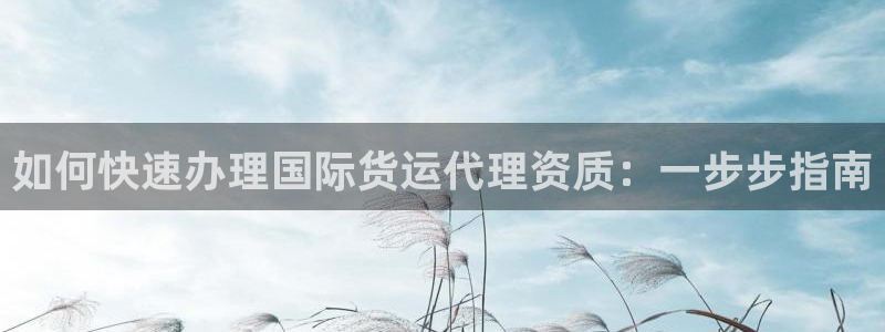 尊龙精品棋牌：如何快速办理国际货运代理资质：一步步指南