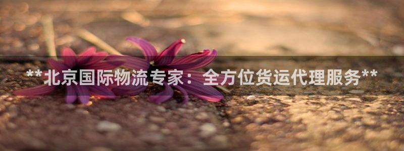 尊龙凯时有封银行卡的吗：**北京国际物流专家：全方位货运