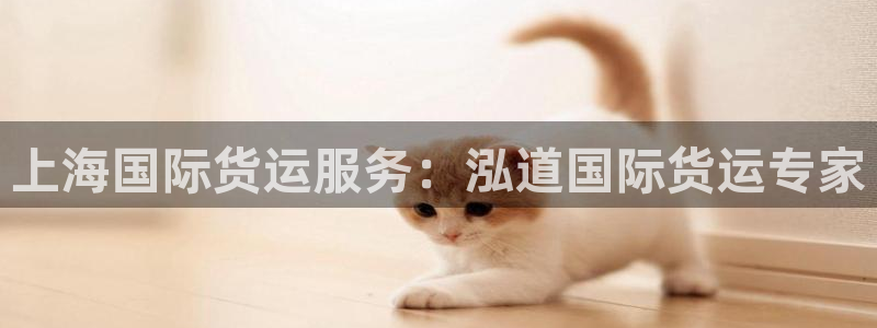 尊龙凯时的企业文化：上海国际货运服务：泓道国际货运专家