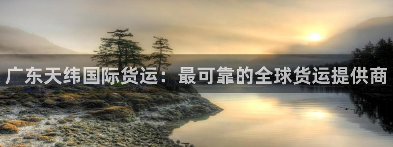 尊龙ag旗舰官网：广东天纬国际货运：最可靠的全球货运提供