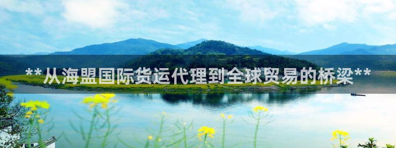 尊龙人生就是一博!：**从海盟国际货运代理到全球贸易的桥
