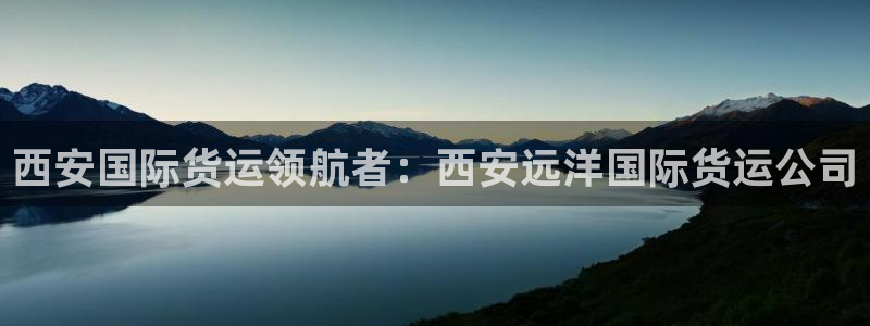 尊龙t500和t300区别：西安国际货运领航者：西安远洋