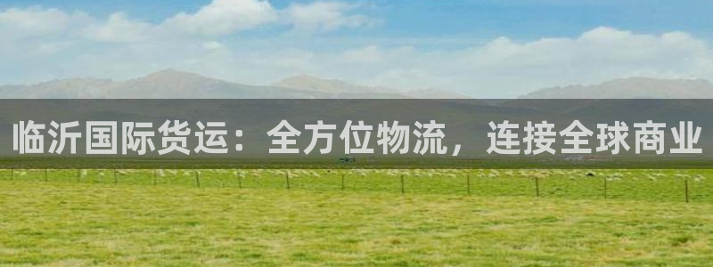 尊龙凯时官网首页：临沂国际货运：全方位物流，连接全球商业