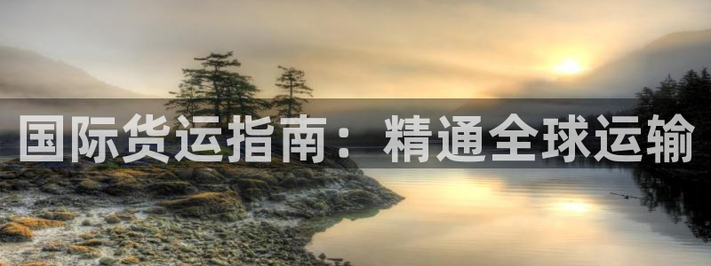 尊龙实业：国际货运指南：精通全球运输