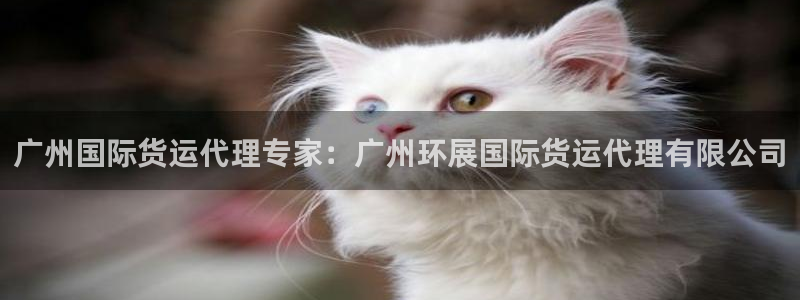 尊龙凯时 人生就是搏客服：广州国际货运代理专家：广州环展