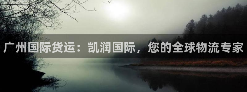 尊龙z6.con：广州国际货运：凯润国际，您的全球物流专