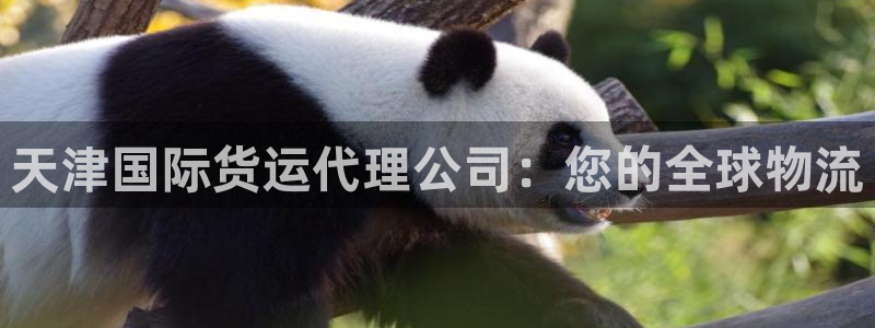 尊龙凯时v7要冲多少：天津国际货运代理公司：您的全球物流