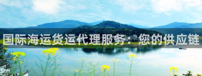尊龙AG旗舰厅官网：国际海运货运代理服务：您的供应链