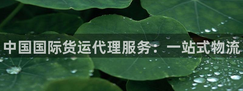 尊龙集团有限公司官网：中国国际货运代理服务：一站式物流