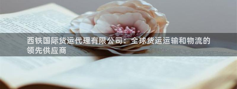 尊龙2021年最新消息：西铁国际货运代理有限公司：全球货