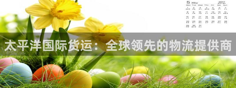 Z6尊龙官网入口：太平洋国际货运：全球领先的物流提供商