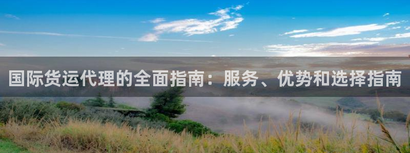 尊龙官网首页：国际货运代理的全面指南：服务、优势和选择指