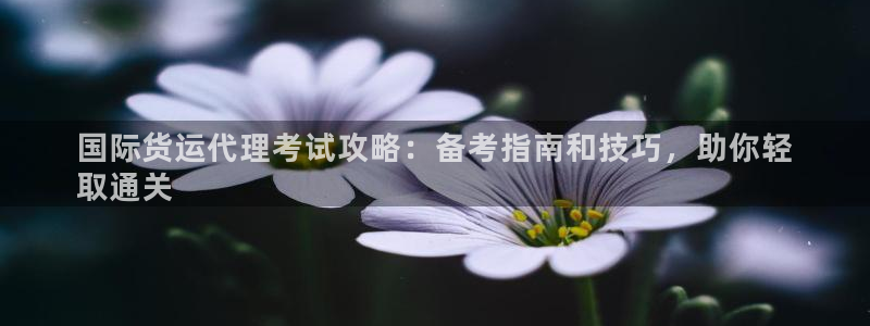 尊龙凯时有没有出不了款的情况：国际货运代理考试攻略：备考